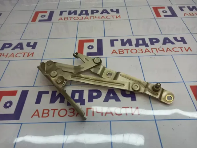Петля крышки багажника левая Hyundai Sonata (EF) 79210-3D000