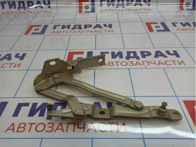 Петля крышки багажника правая Hyundai Sonata (EF) 79220-3D000