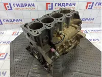 Блок цилиндров Hyundai Sonata (EF)