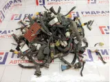 Фишка (разъем) Hyundai Sonata (EF)