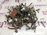 Фишка (разъем) Hyundai Sonata (EF)