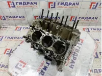 Блок двигателя Hyundai Sonata (EF) 21100-37300