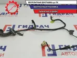 Проводка двери задней правой Hyundai Sonata EF 916503D020.