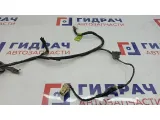 Проводка двери задней правой Hyundai Sonata EF 916503D020.