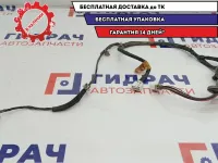 Проводка двери задней левой Hyundai Sonata EF 916503D010.