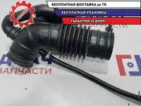 Патрубок воздушного фильтра Hyundai Sonata EF 2813838003. В сборе.