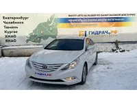 Hyundai Sonata (YF)
