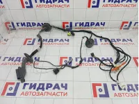 Проводка двери передней левой Hyundai Sonata 91601L1710