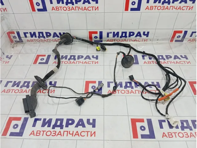 Проводка двери передней левой Hyundai Sonata 91601L1710