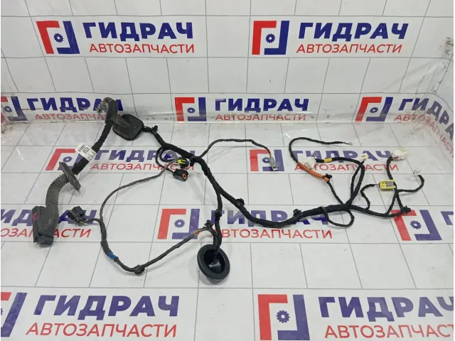 Проводка двери передней правой Hyundai Sonata 91612L1600