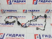 Проводка двери задней правой Hyundai Sonata 91630L1030