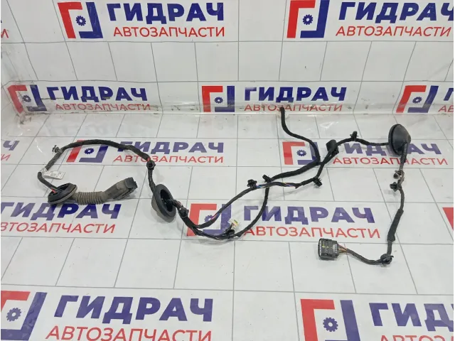 Проводка двери задней правой Hyundai Sonata 91630L1030