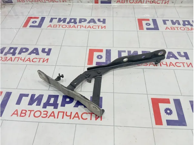 Петля капота левая Hyundai Sonata 66910L1000