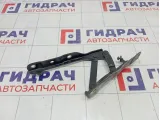 Петля капота правая Hyundai Sonata 66920L1000