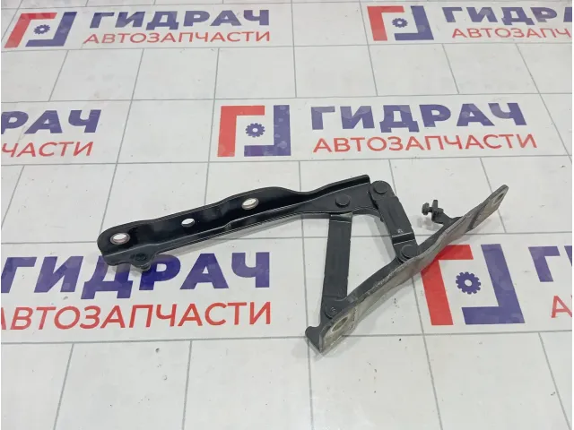 Петля капота правая Hyundai Sonata 66920L1000