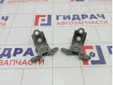 Петли двери передней левой Hyundai Sonata