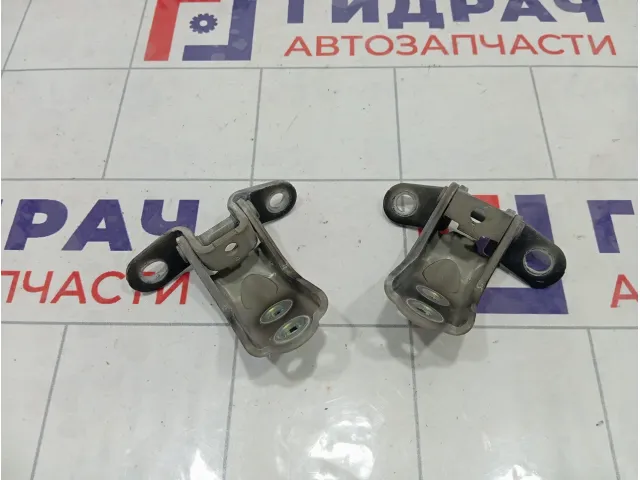 Петли двери передней правой Hyundai Sonata