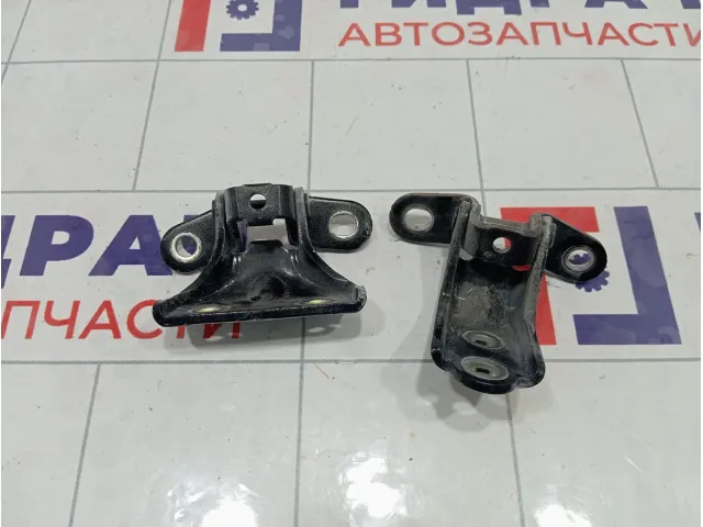 Петли двери задней левой Hyundai Sonata