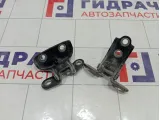 Петли двери задней левой Hyundai Sonata