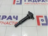 Катушка зажигания Hyundai Sonata 273002E000