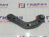 Рычаг задний Hyundai Sonata 55120L1200