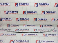 Накладка бампера переднего Hyundai Sonata 86569L1000