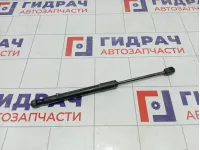 Амортизатор капота Hyundai Sonata 81161L1000