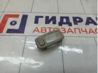 Плафон салонный в козырек левый Hyundai Sonata 92890L1000MMH