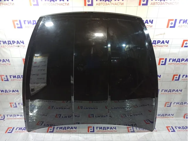 Капот Hyundai Sonata 66400L1000