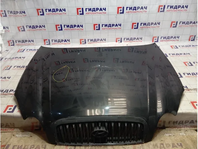 Капот Hyundai Sonata (EF)