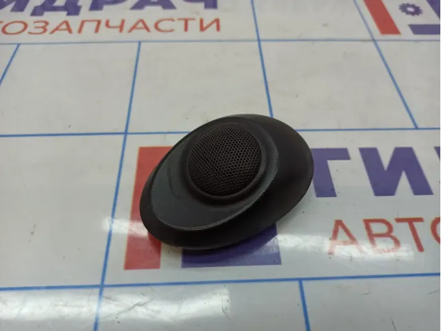 Динамик правый Hyundai Starex (A1) 849104A110LK