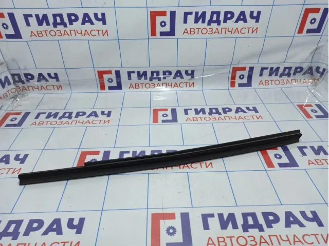 Уплотнитель стекла переднего левого Hyundai Starex (A1) 82230-47000