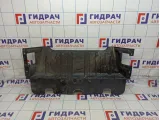 Защита двигателя Hyundai Starex (A1) 29120-4A600