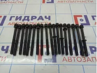 Болты головки блока Hyundai Starex (A1) 22321-4A000