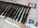 Болты головки блока Hyundai Starex (A1) 22321-4A000