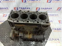 Блок двигателя Hyundai Starex (A1) 21102-4AA10