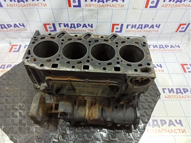 Блок двигателя Hyundai Starex (A1) 21102-4AA10