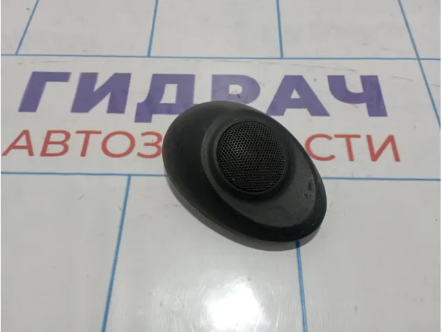 Динамик правый Hyundai Starex (A1) 849204A000LK
