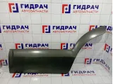 Накладка двери задней левой Hyundai Tucson (JM) 87733-2E001