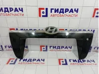 Накладка двери багажника Hyundai Tucson (JM) 87371-2E000