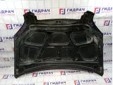 Капот Hyundai Tucson (JM)