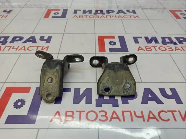 Петли двери задней левой Hyundai Tucson (JM)