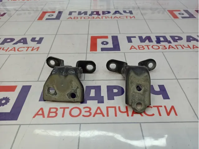 Петли двери задней правой Hyundai Tucson (JM)