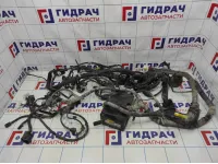 Проводка (коса) моторная Hyundai Tucson (JM)