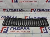 Решетка в бампер центральная Hyundai Tucson (JM) 86561-2E000