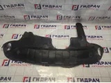 Защита двигателя Hyundai Tucson (JM) 29110-2E000