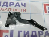 Петля капота левая Hyundai Tucson (JM) 79110-2E000