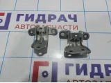 Петли двери задней правой Hyundai Tucson (JM)