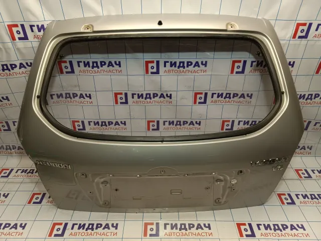 Дверь багажника Hyundai Tucson (JM) 73700-2E050