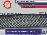 Решетка в бампер центральная Hyundai Tucson (JM) 86561-2E000. Дефект.